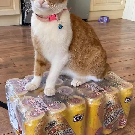 ホテル Leons Sun Village