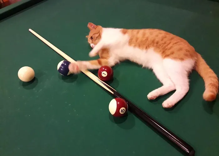 Leons Sun Village 4* Μαρμαρίς