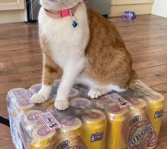 Otel Leons Sun Village